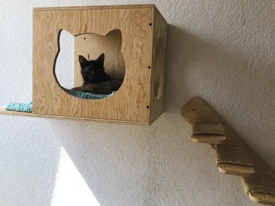 casa de gato de madera colocada en una pared con escaleras para que el gato entre a su refugio flotante fijado a la pared