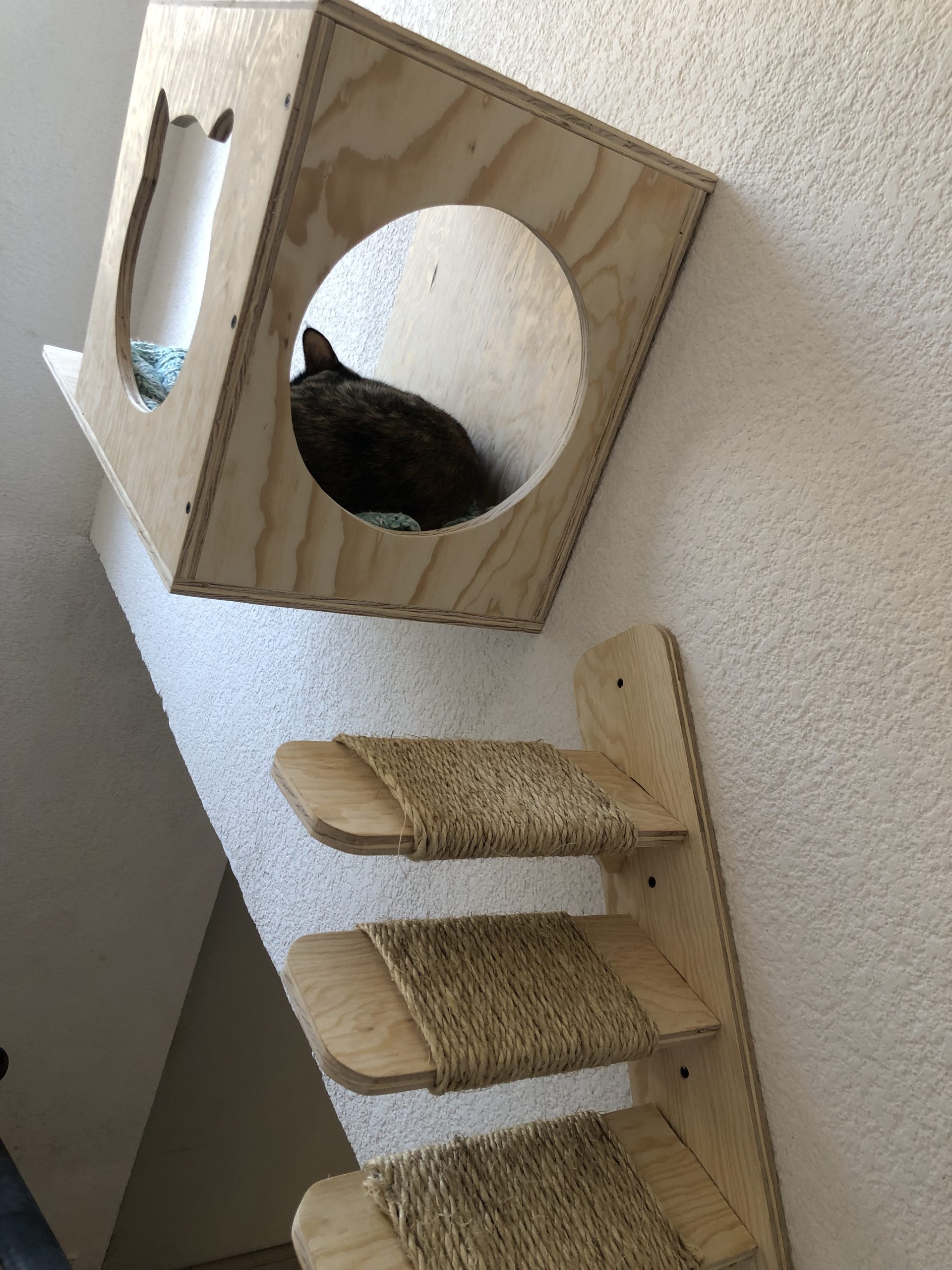 Casa flotante con escalera de madera para gato