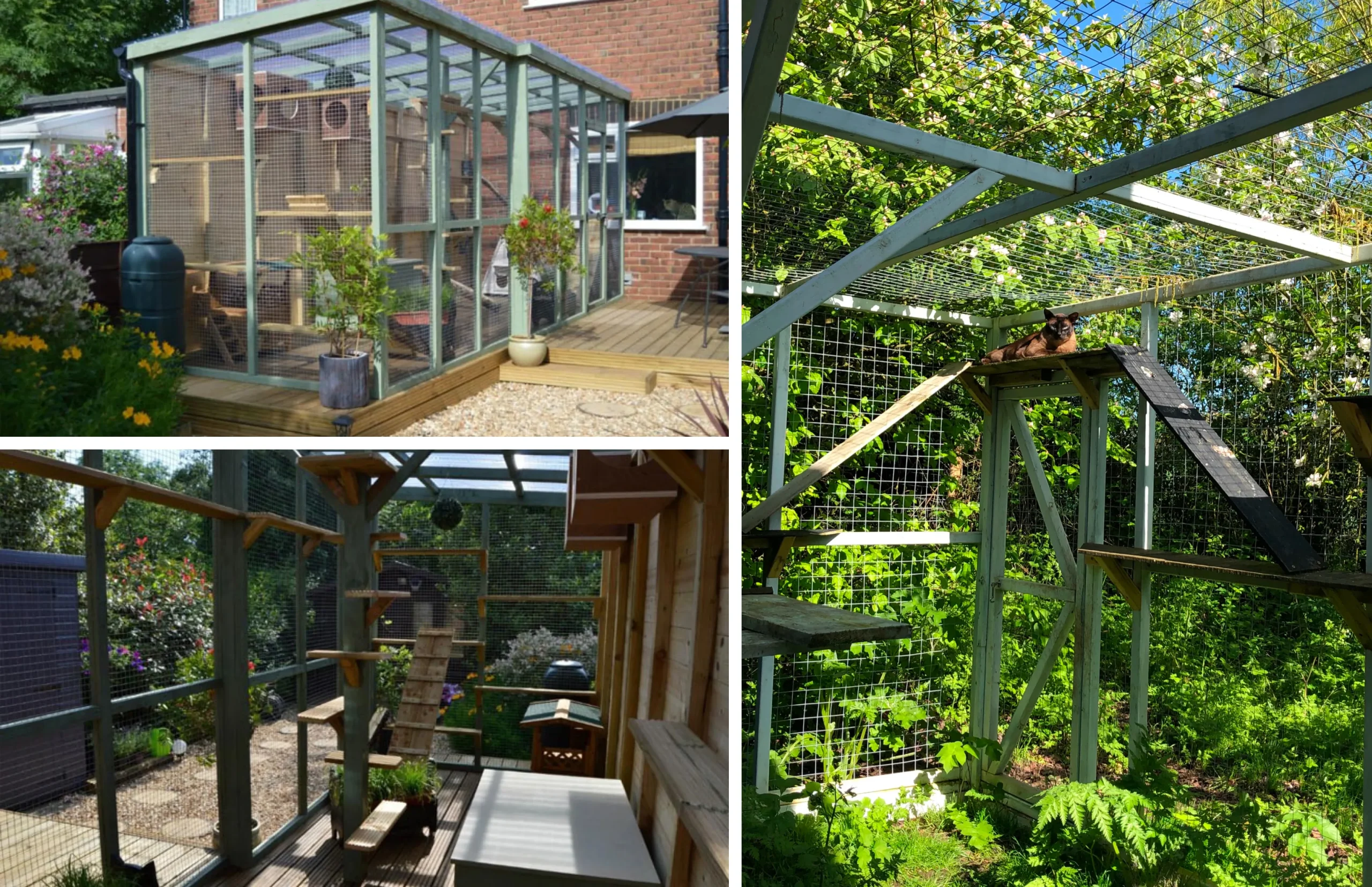 Imagen de catios (o "gatios"): patios especialmente diseñados para gatos. Aprovecha el espacio de tu jardín o patio y crea un área de juego segura para tu felino, con malla cerrada que evita que se escape, además de gimnasios y torres de madera para que trepe y se divierta. ¡Deja que tu gato tome el sol y explore al aire libre sin riesgos!