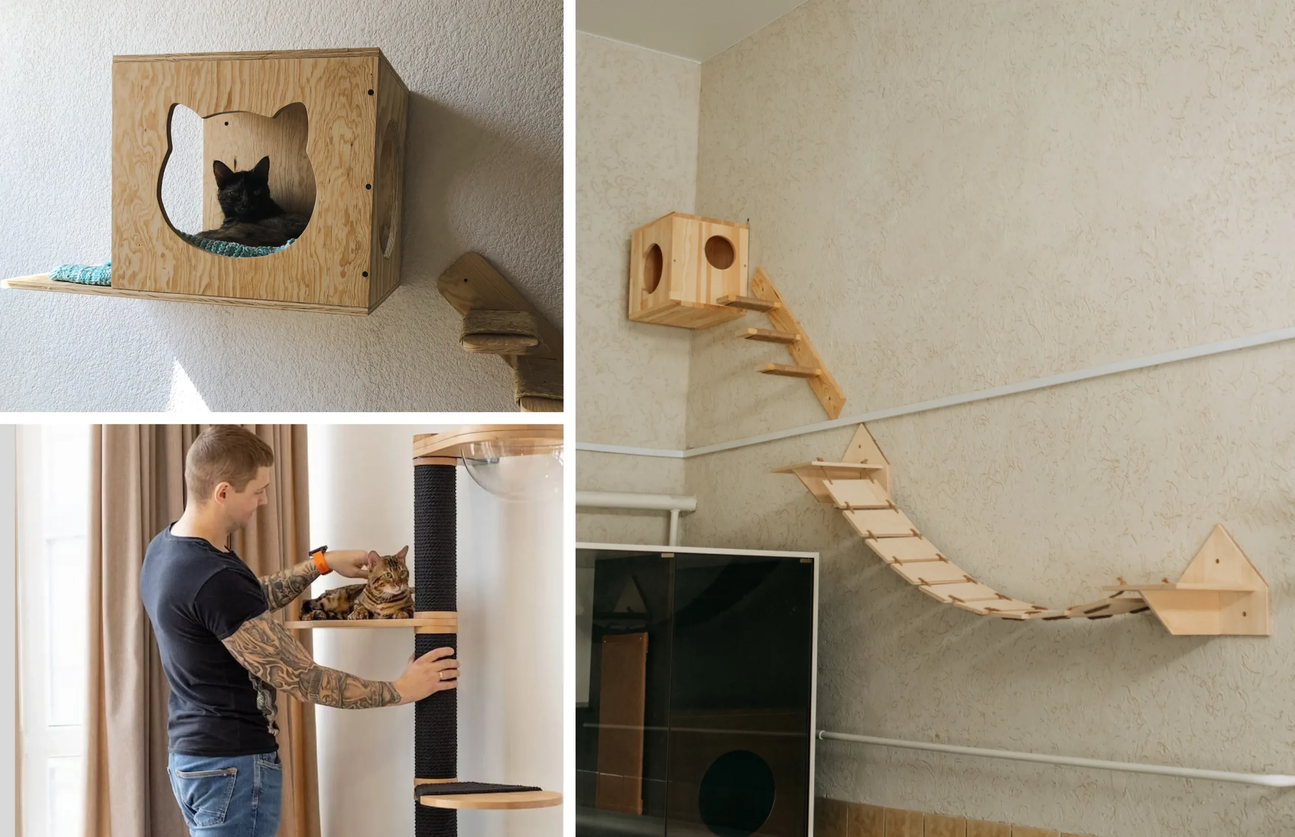 imagen de gimnasios y torres de madera para gato instalados y fijados a la pared del interior de una casa.